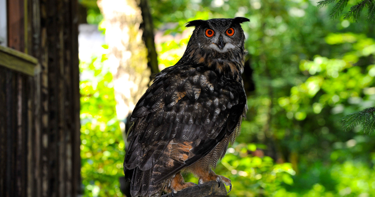 Naturerlebnispark Lerbach – Bild 6