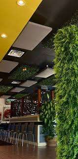 The Lemon Tree – Bild 1