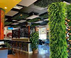 The Lemon Tree – Bild 2