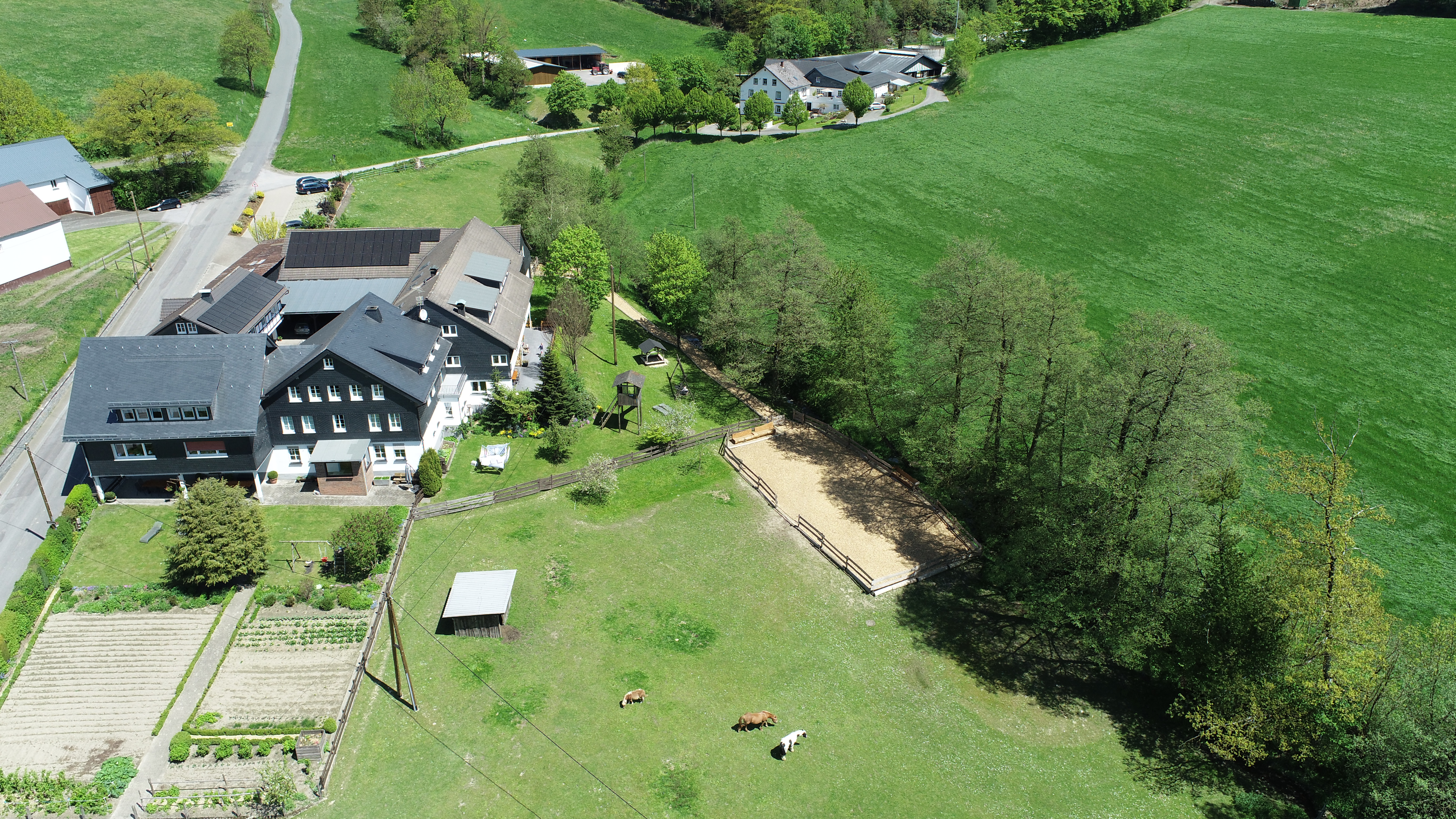 Ferienbauernhof Stratmann – Bild 4