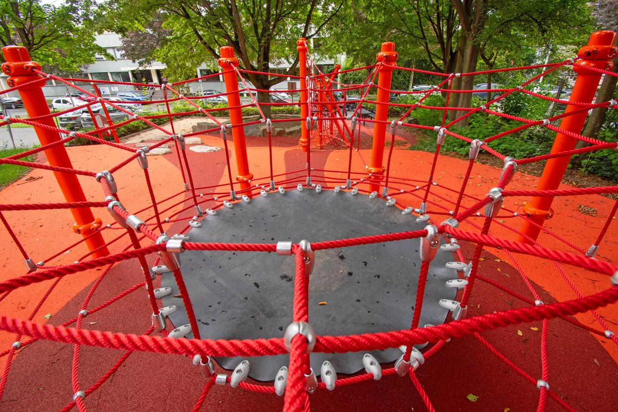 Cricket playground for Bonn – Bild 3
