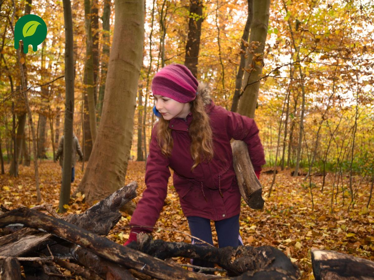 Pinneberger Fahlt (Stadtwäldchen) – Bild 2