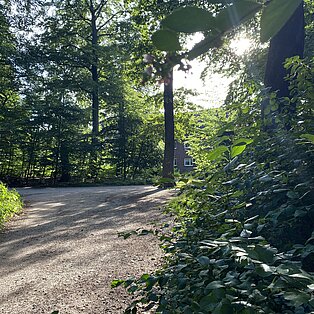 Pinneberger Fahlt (Stadtwäldchen) – Bild 3