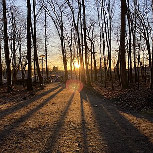 Pinneberger Fahlt (Stadtwäldchen) – Bild 4