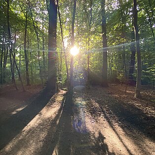 Pinneberger Fahlt (Stadtwäldchen) – Bild 5