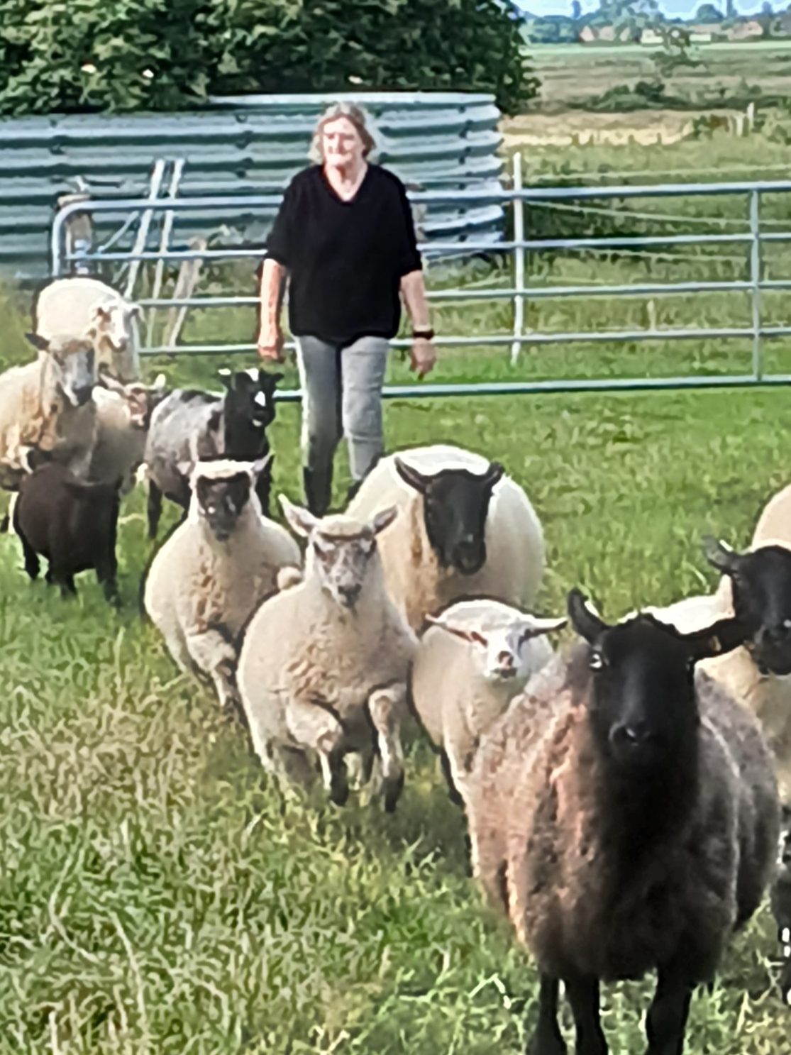 Hof Janssen – Bild 6