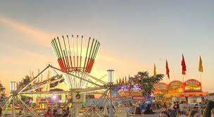 D.A. Campbell Amusements Ltd – Bild 6