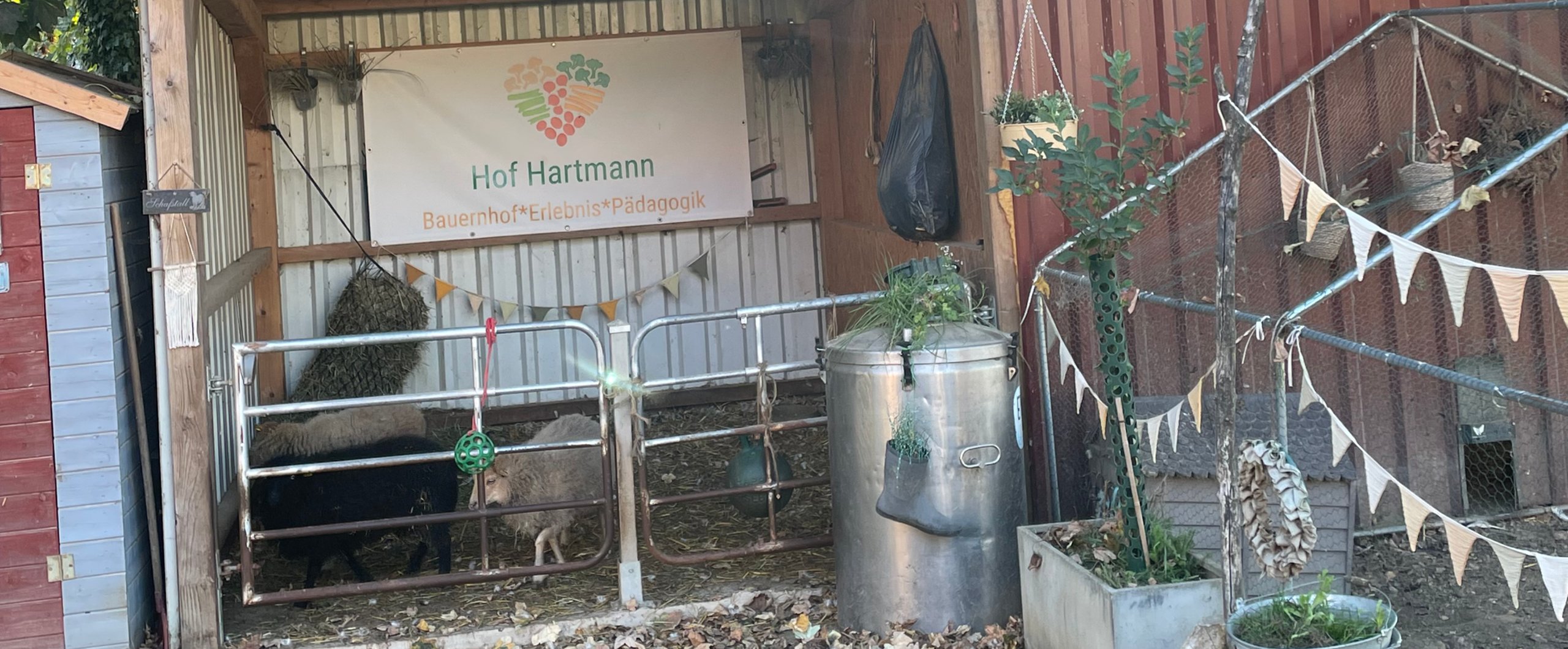 Bauernhoferlebnispädagogik Hof Hartmann – Bild 3