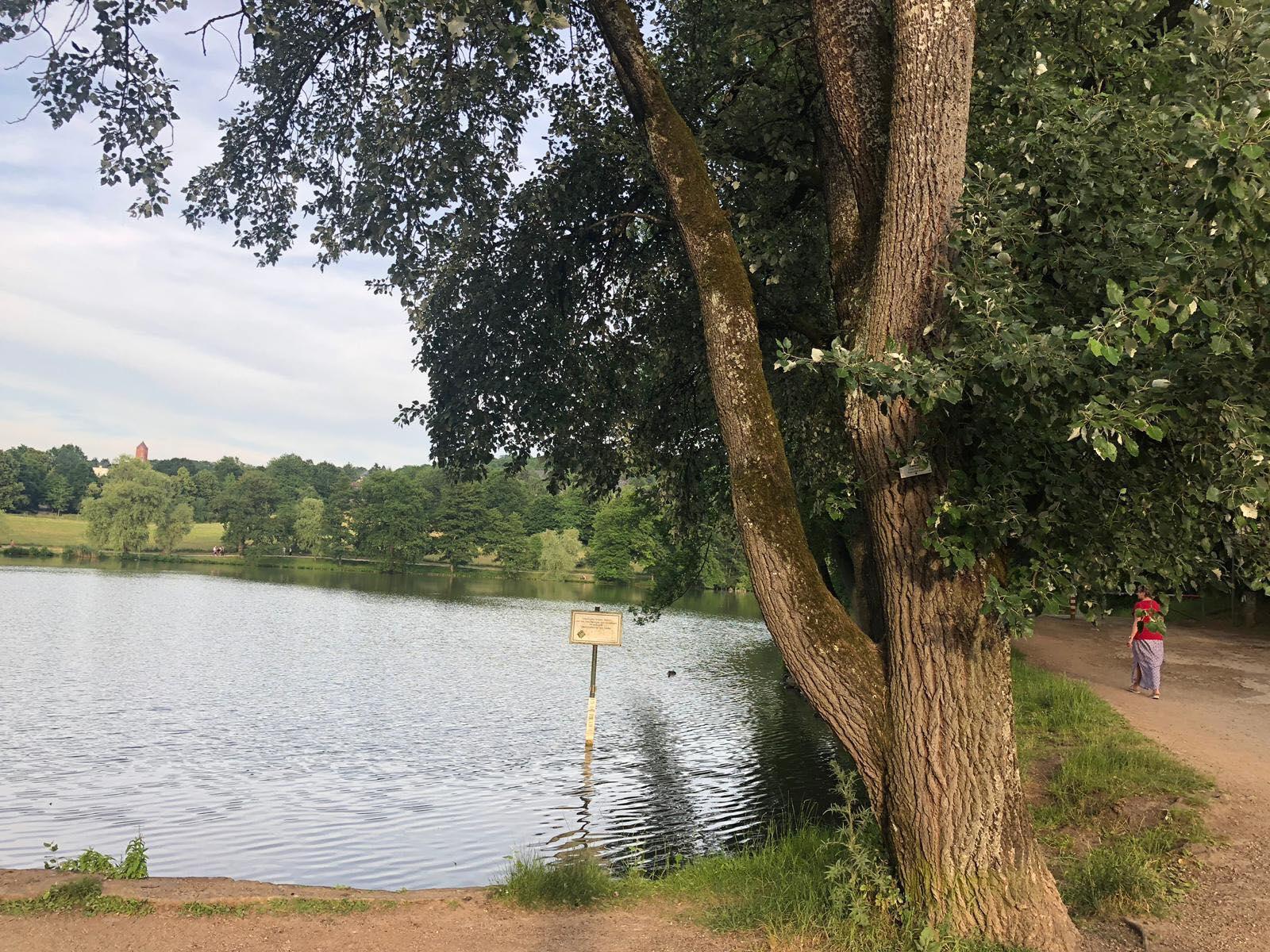 Mattheiser Weiher – Bild 1