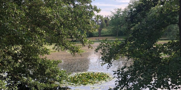 Mattheiser Weiher – Bild 5