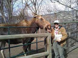 Moose Park – Bild 3