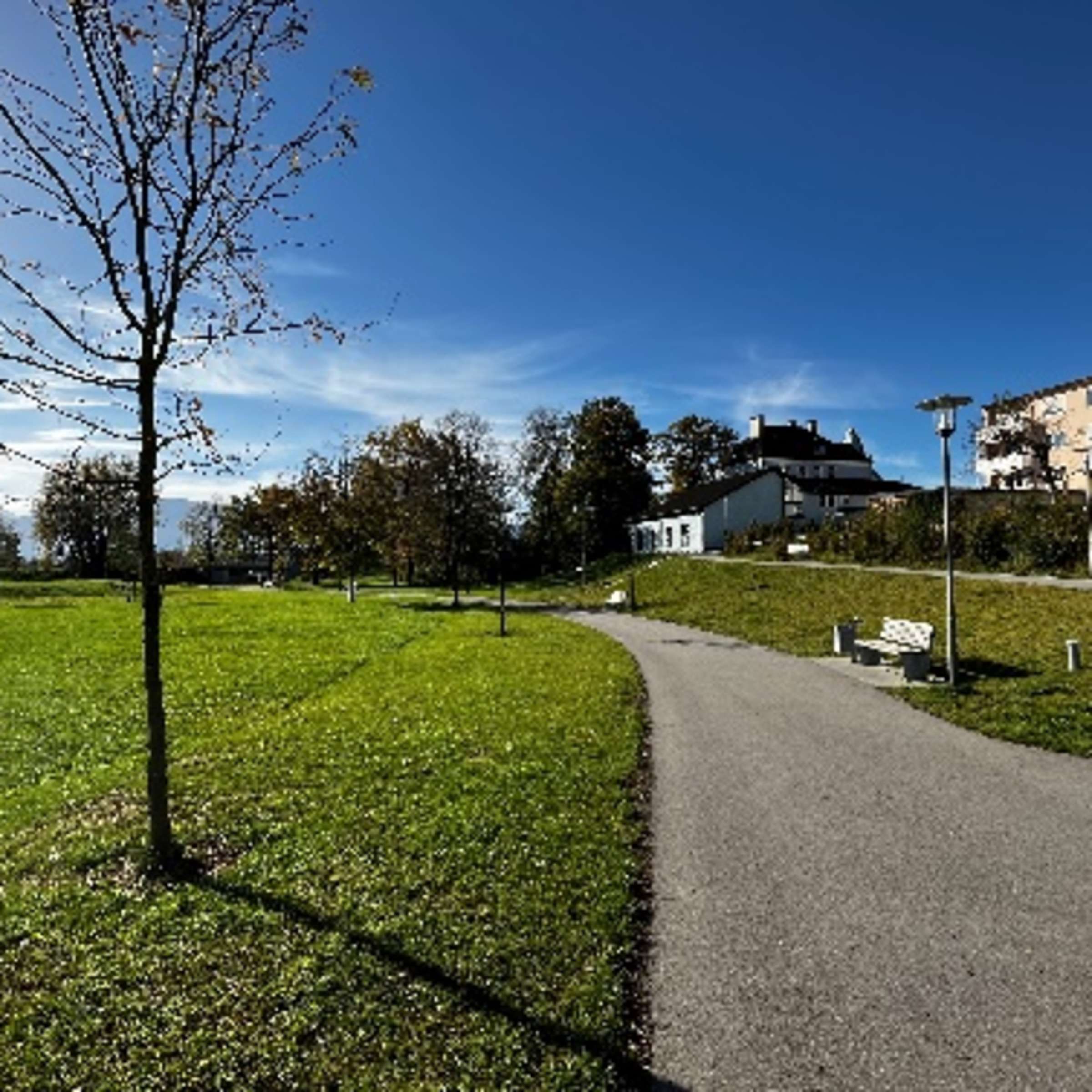 Niedrigseilgarten am Badylon – Bild 4