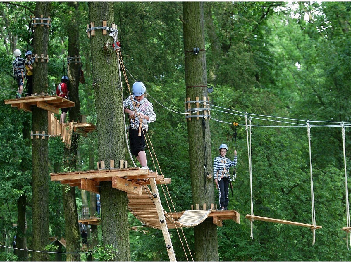 monkeyman Hochseilgarten – No-Limit GmbH – Bild 5