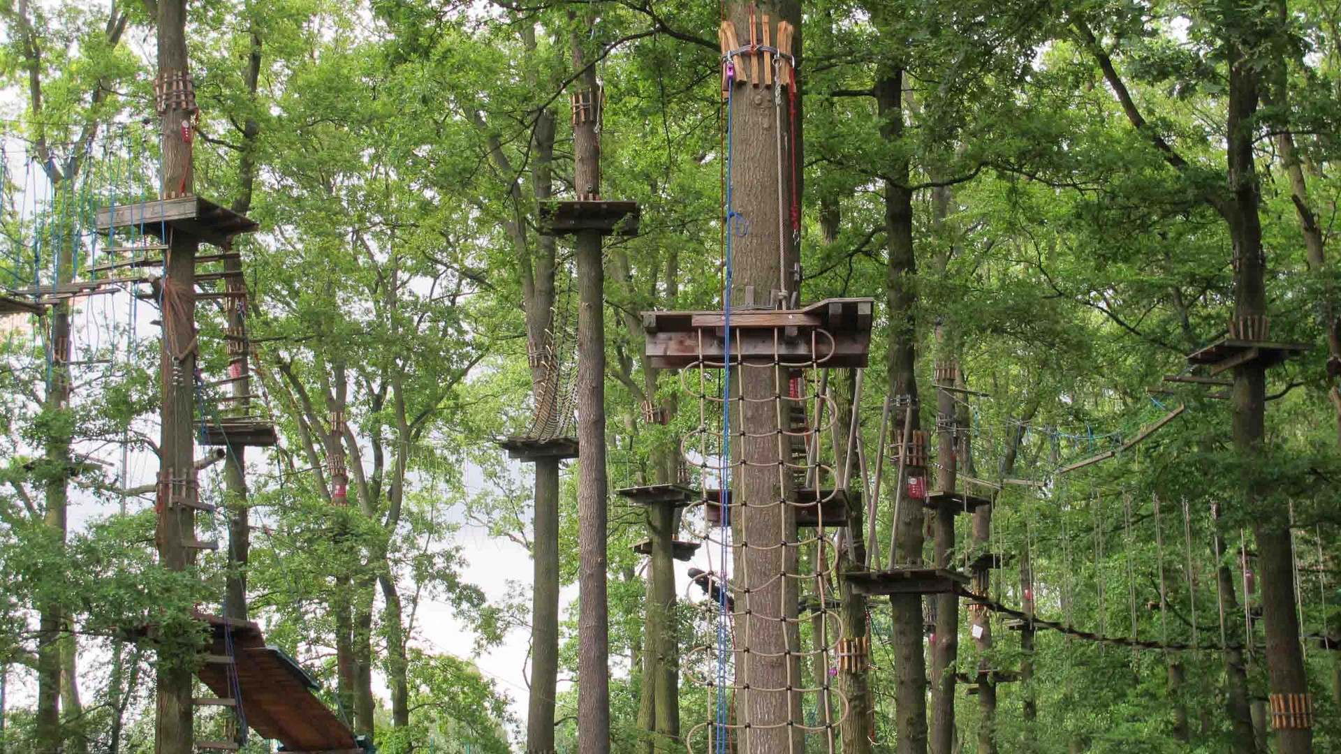 monkeyman Hochseilgarten – No-Limit GmbH – Bild 6