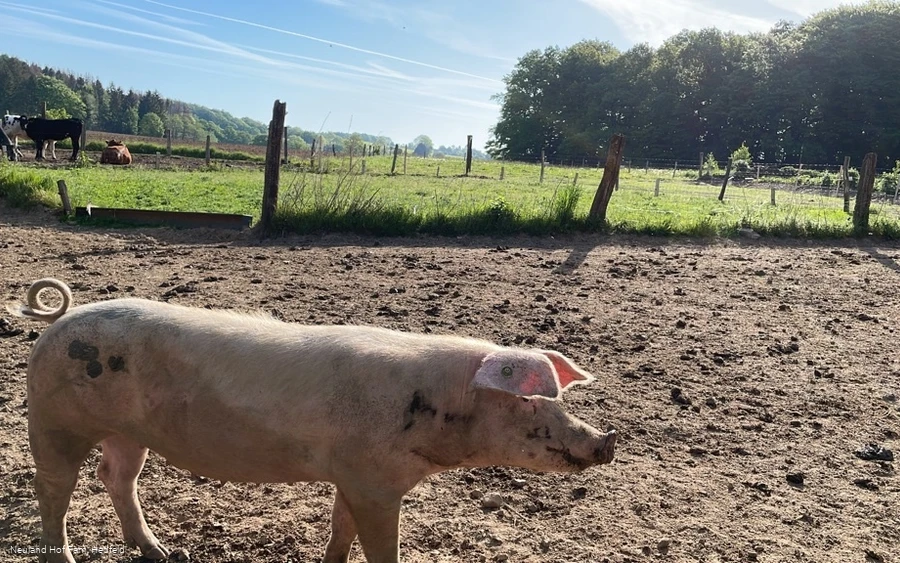 Erlebnisfarm Neuland – Bild 4