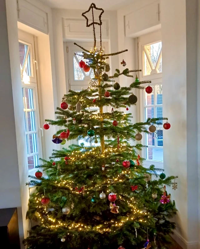 Hof Plümpe - Gut Holsen - Weihnachtsbäume, Kaminholz – Bild 2