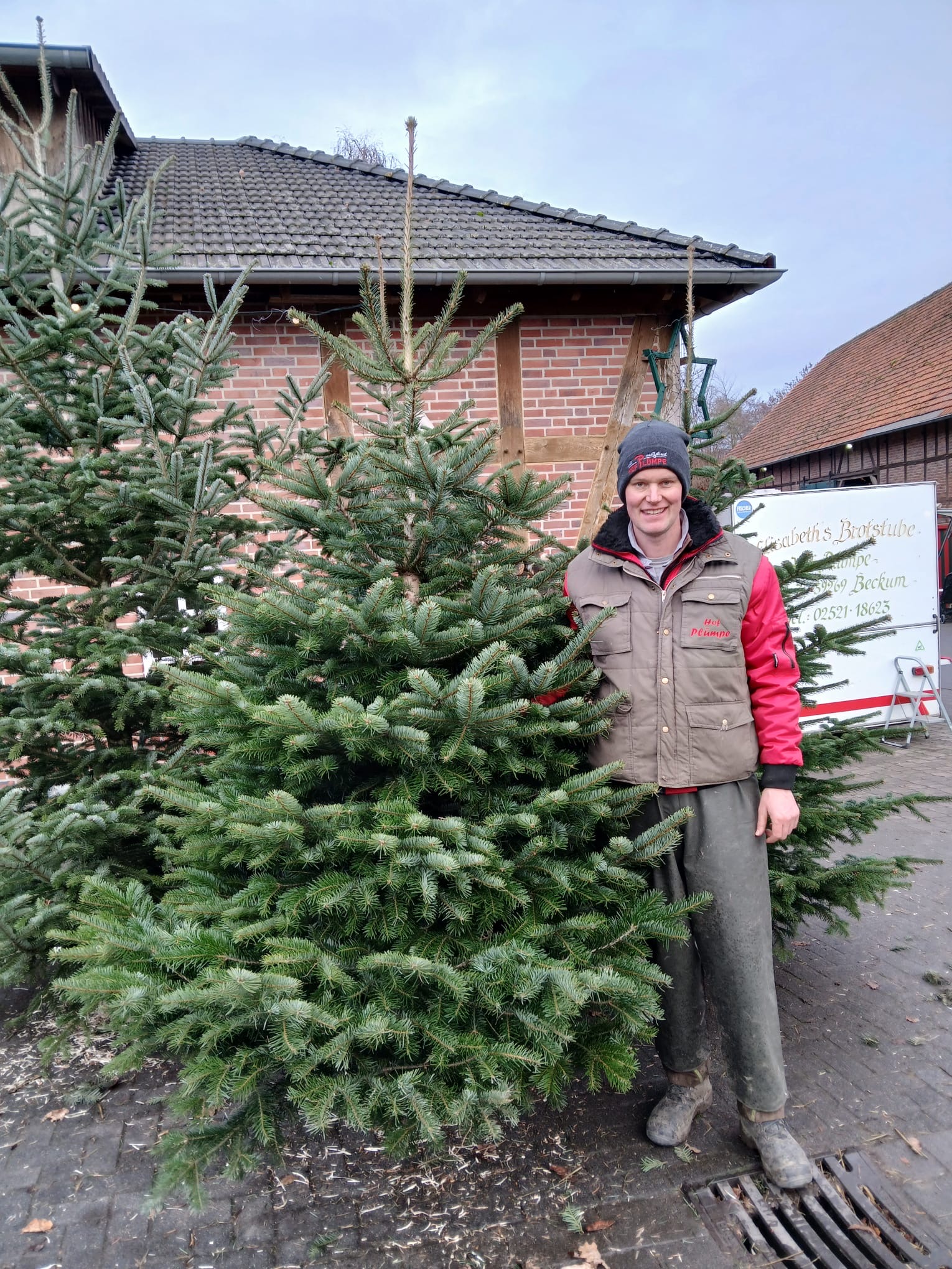 Hof Plümpe - Gut Holsen - Weihnachtsbäume, Kaminholz – Bild 3