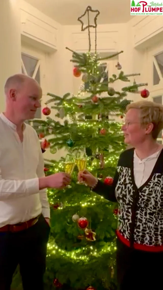 Hof Plümpe - Gut Holsen - Weihnachtsbäume, Kaminholz – Bild 5