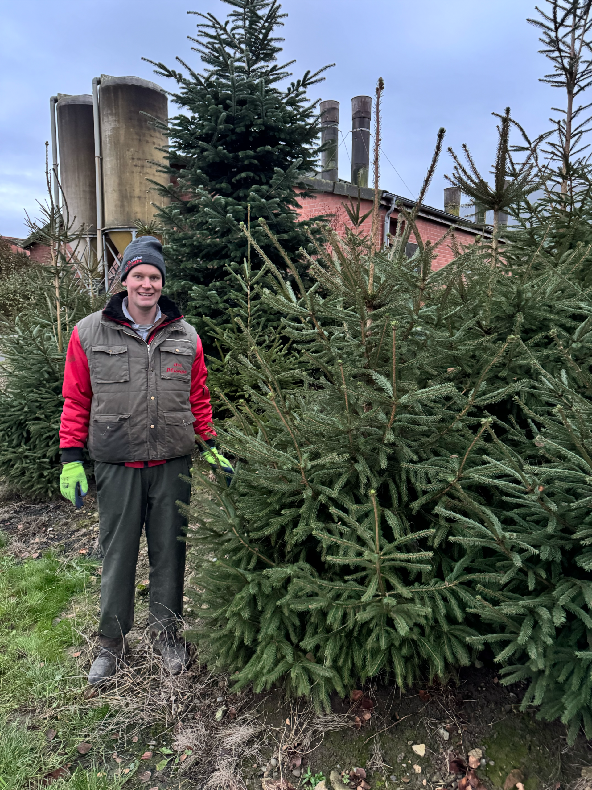 Hof Plümpe - Gut Holsen - Weihnachtsbäume, Kaminholz – Bild 6