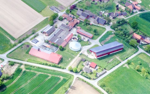 Hof Stratmann - Landwirtschaft mit Herz – Bild 3
