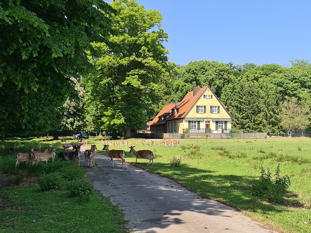 CoeBad und CoeSauna – Bild 5