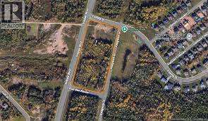 Yvonne Park – Bild 2