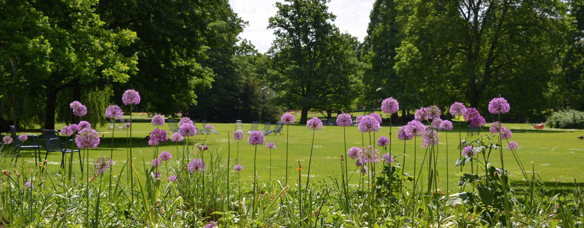 Luisenpark Freizeithaus – Bild 2