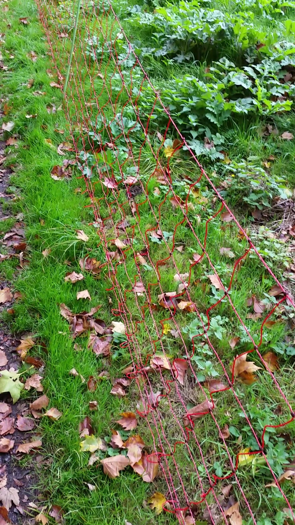 Ludwig-Kessing-Park – Bild 2