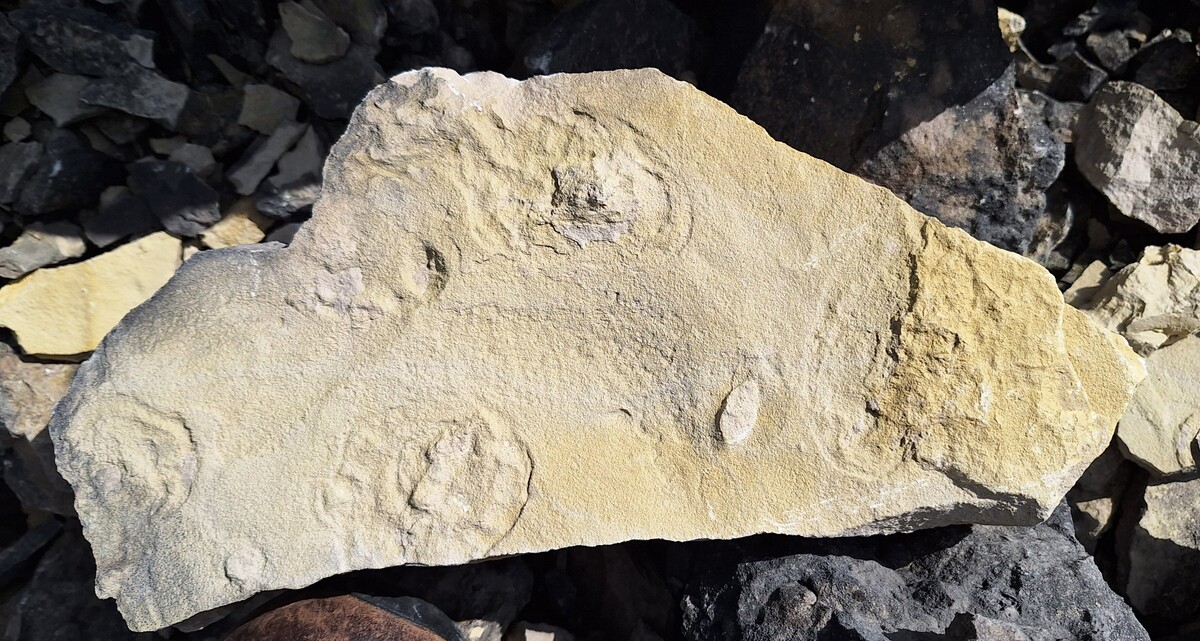 Erlebnissteinbruch Hainholz – Bild 1