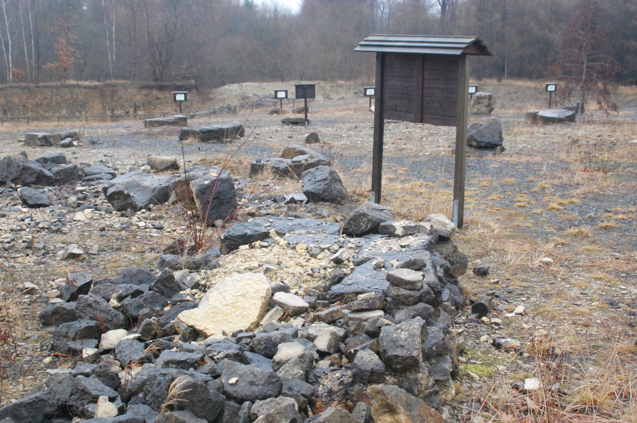 Erlebnissteinbruch Hainholz – Bild 2