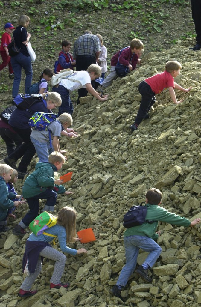 Erlebnissteinbruch Hainholz – Bild 5