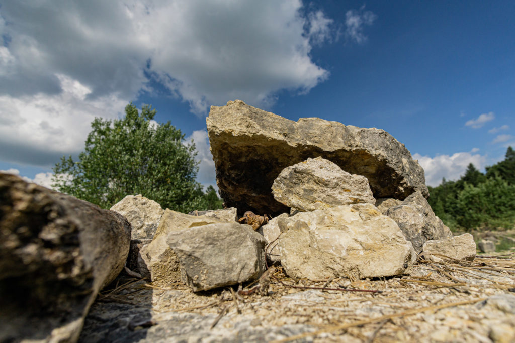 Erlebnissteinbruch Hainholz – Bild 6