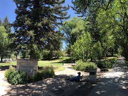 Buckley Park – Bild 3