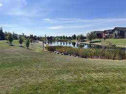 Blackwolf Park – Bild 5