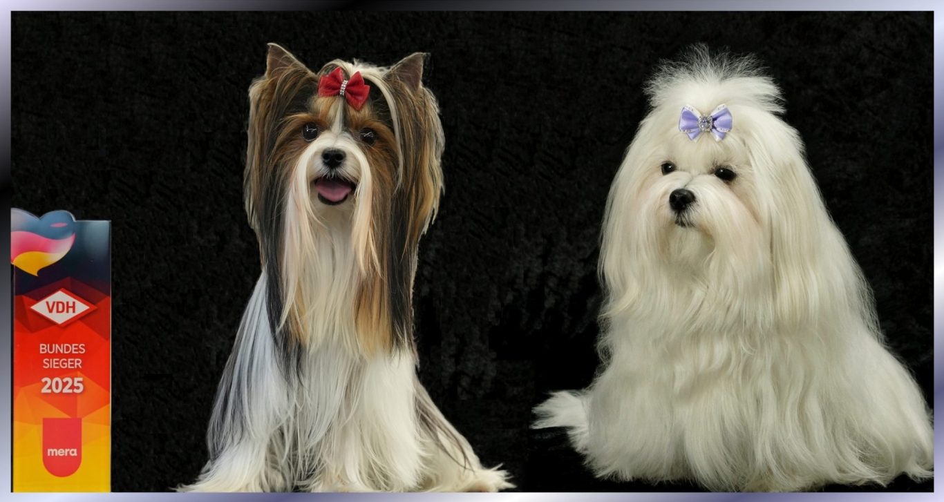 Maltes Lieblingsplatz – Bild 1