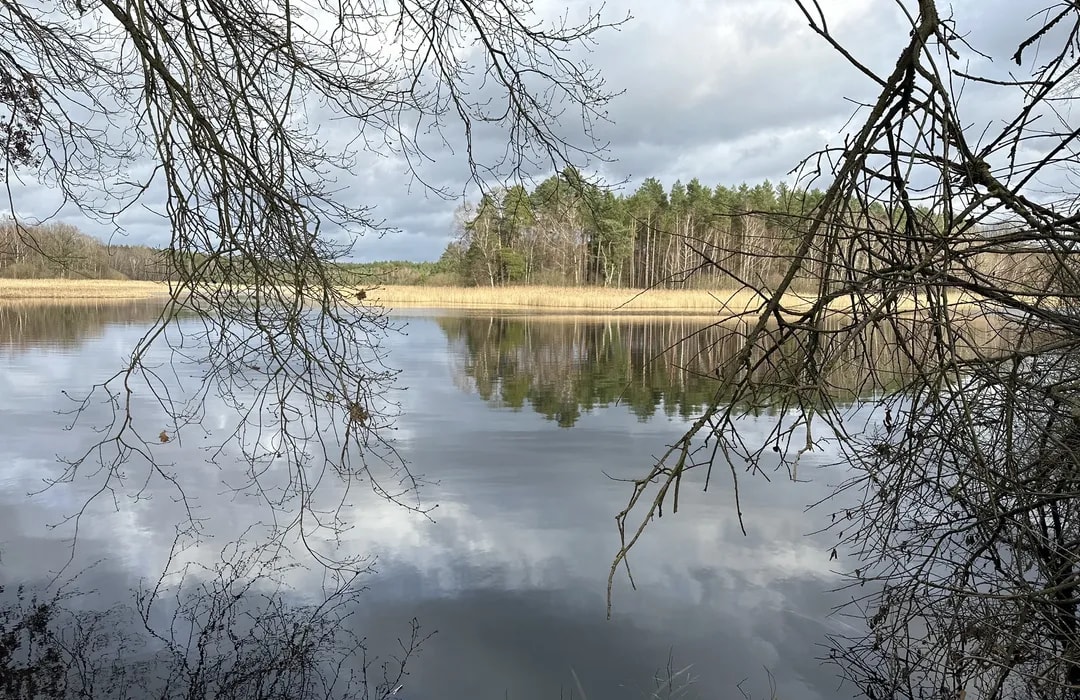 Klein Hehlen DirtbikeStrecke – Bild 3