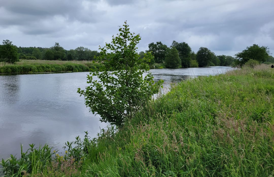 Klein Hehlen DirtbikeStrecke – Bild 5