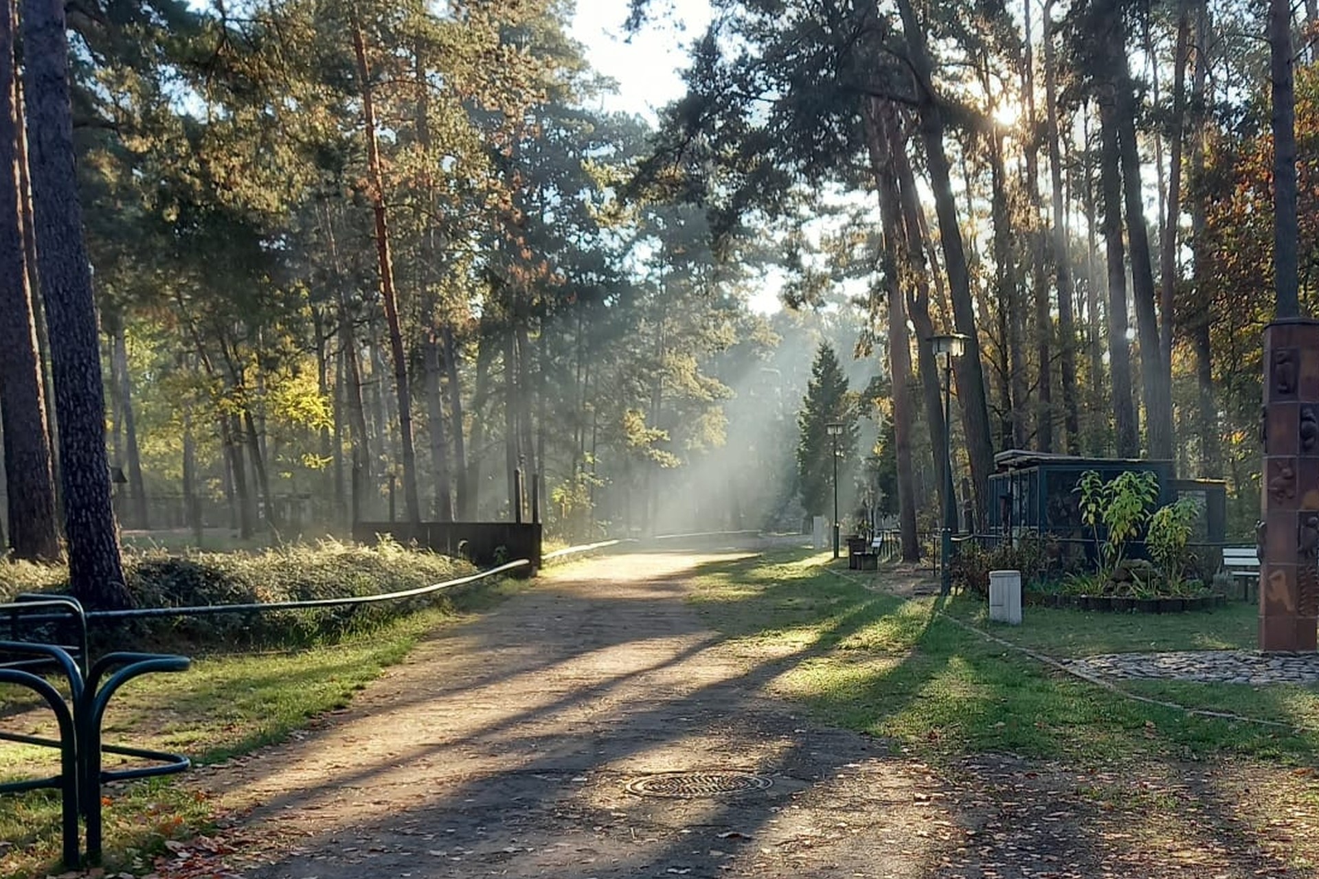 Tiergehege Eisenhüttenstadt – Bild 4