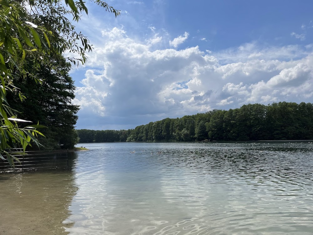 Badestelle Falkenhagener See – Bild 2