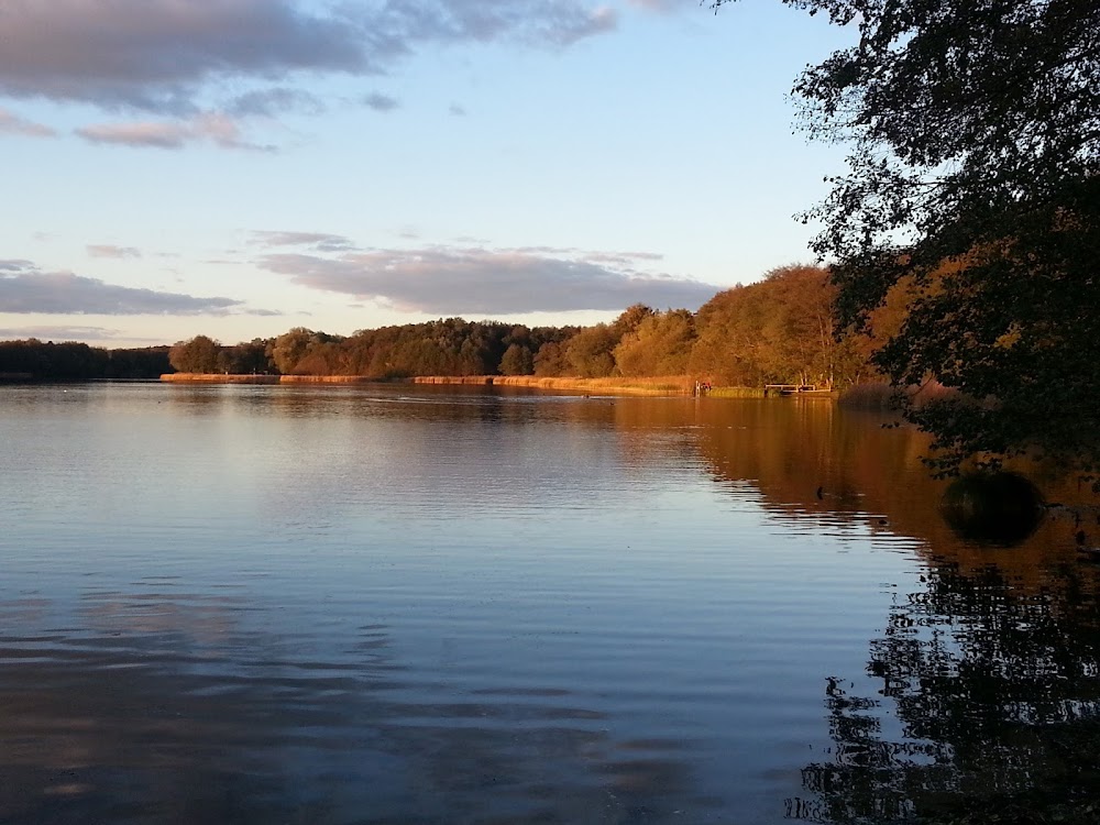 Badestelle Falkenhagener See – Bild 3