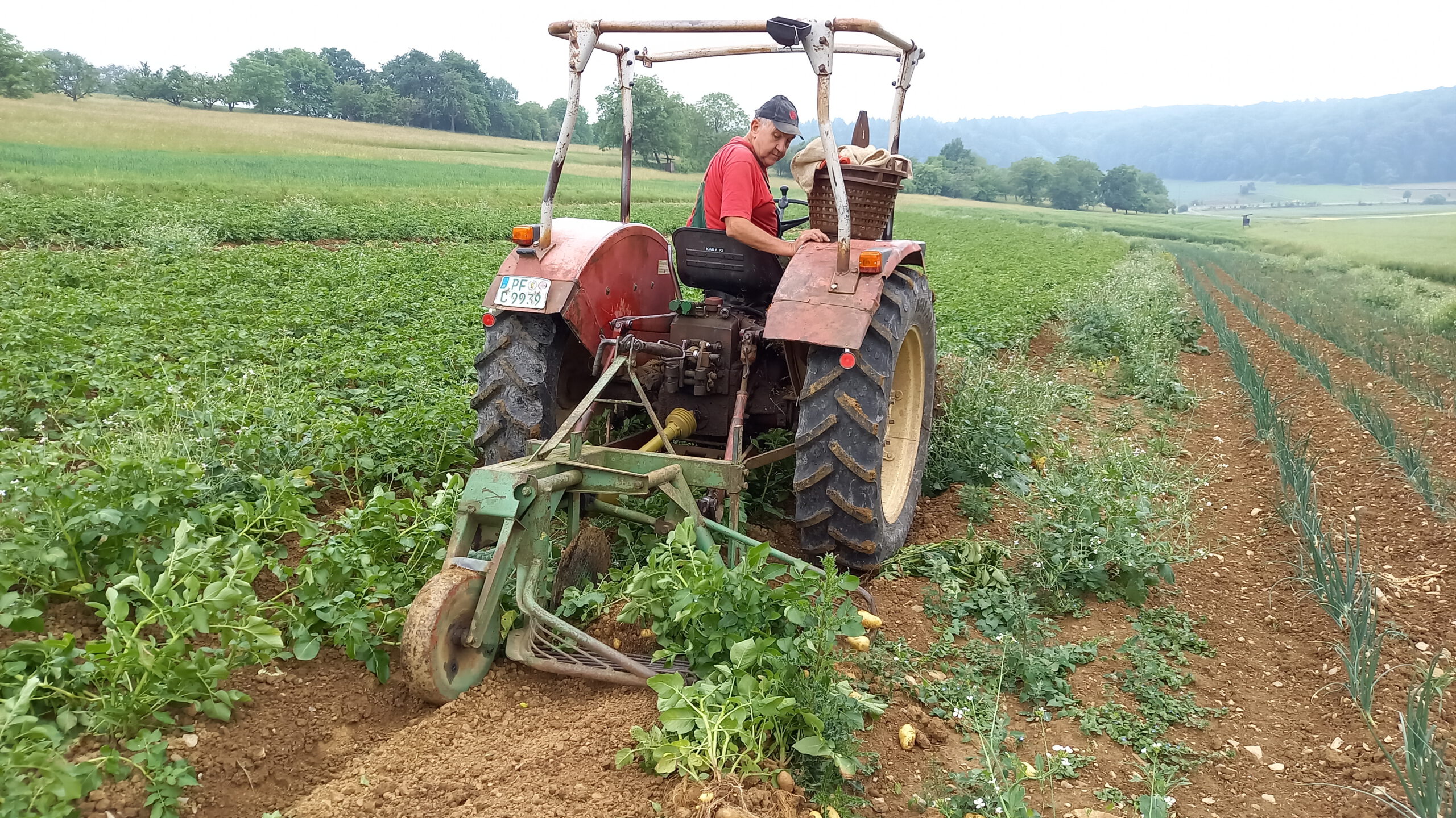 Bauernhof Heckmann – Bild 3