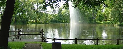 Burgteich – Bild 5