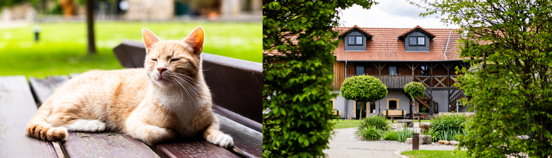 Ferienhof Glücksbringer – Bild 6