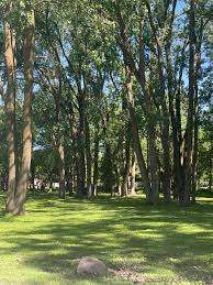 Percy Park – Bild 6