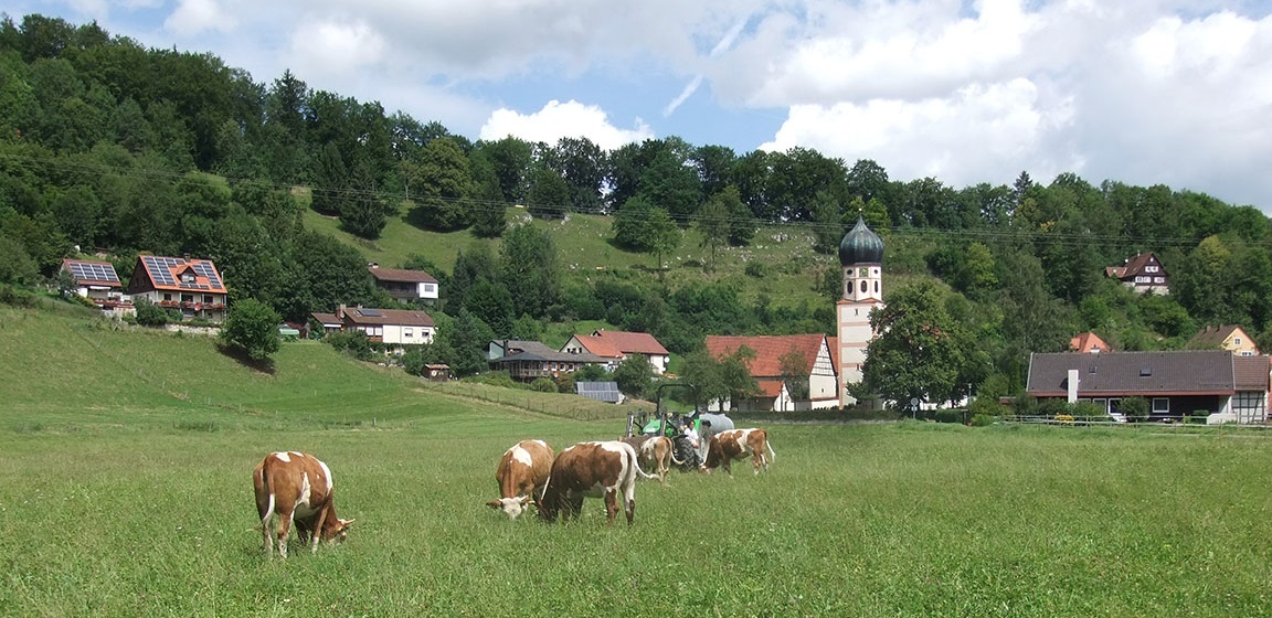 Demeterhof Freytag - Wörz – Bild 3
