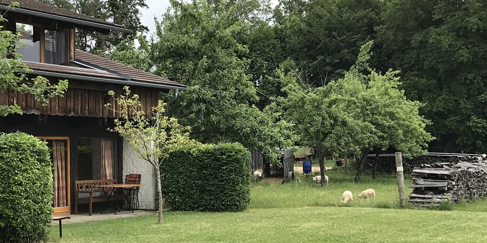 Demeterhof Freytag - Wörz – Bild 5