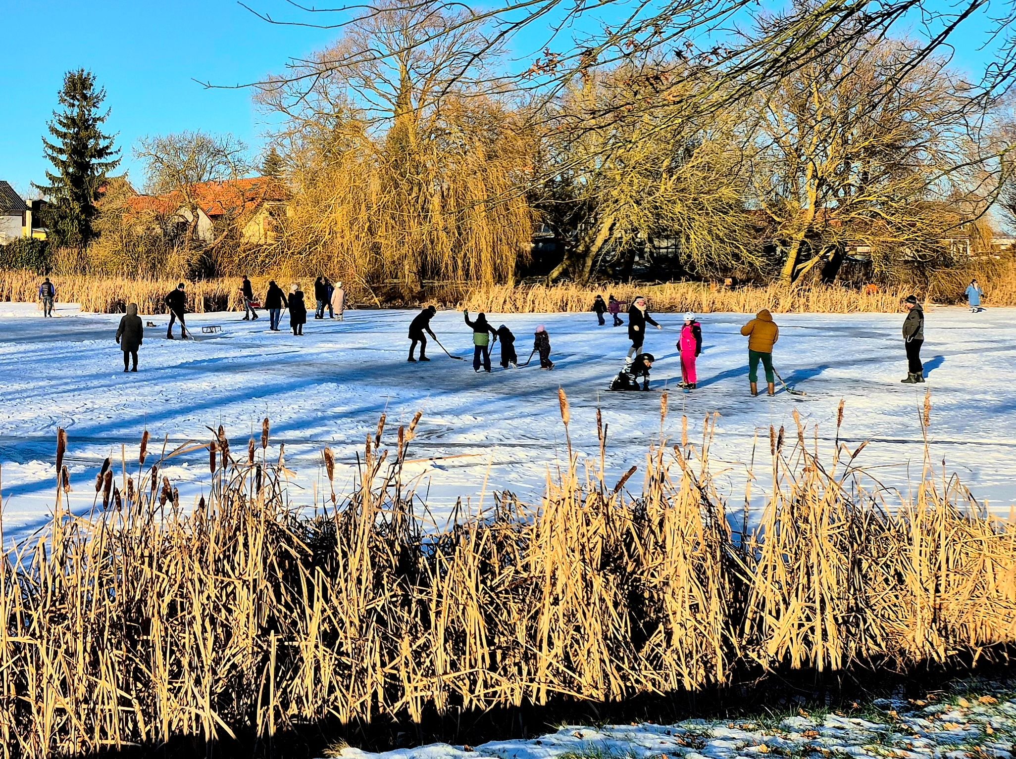 Dorfteich – Bild 2