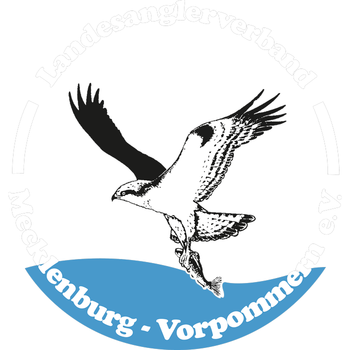 Dorfteich – Bild 5