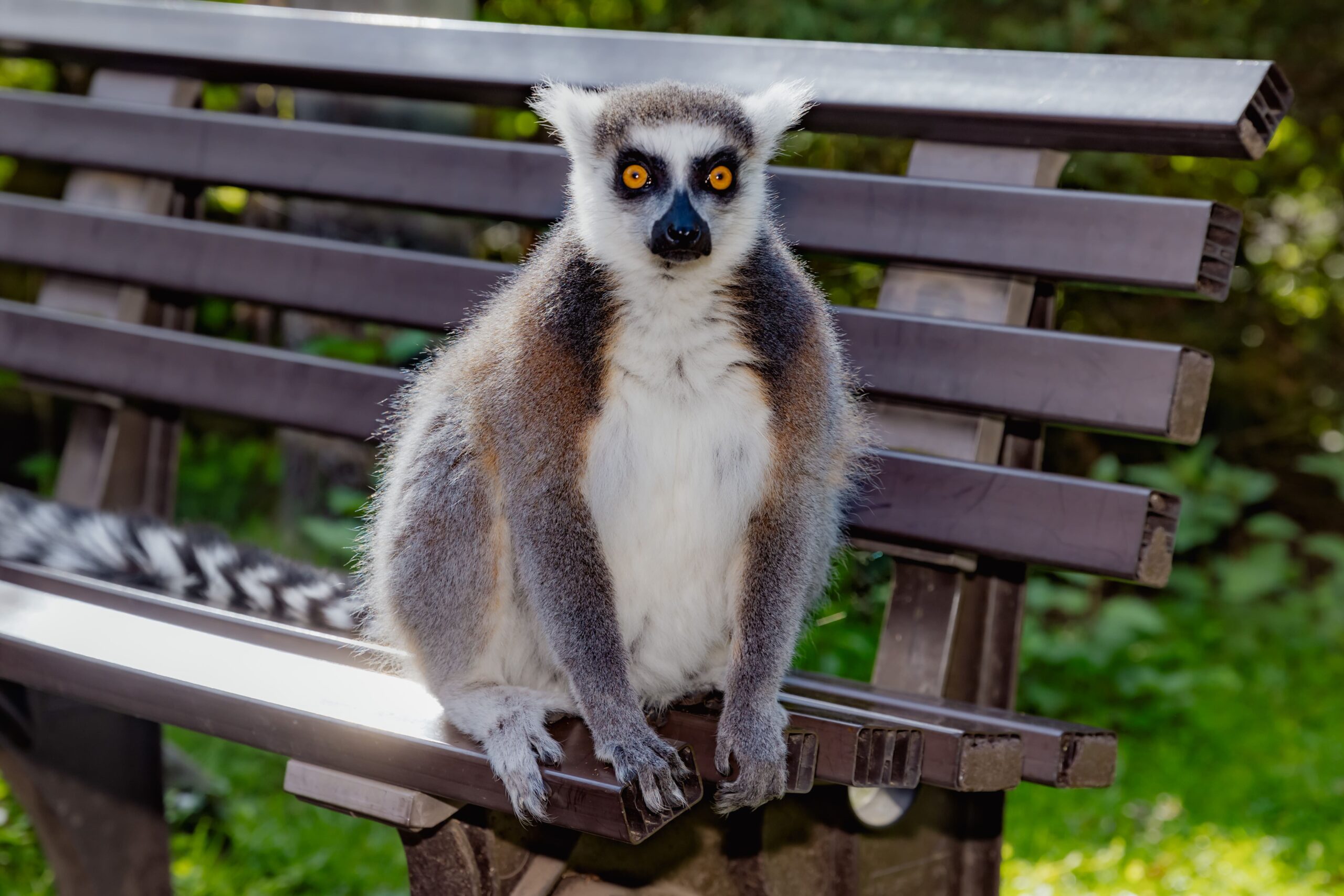Tiergarten Staßfurt – Bild 5