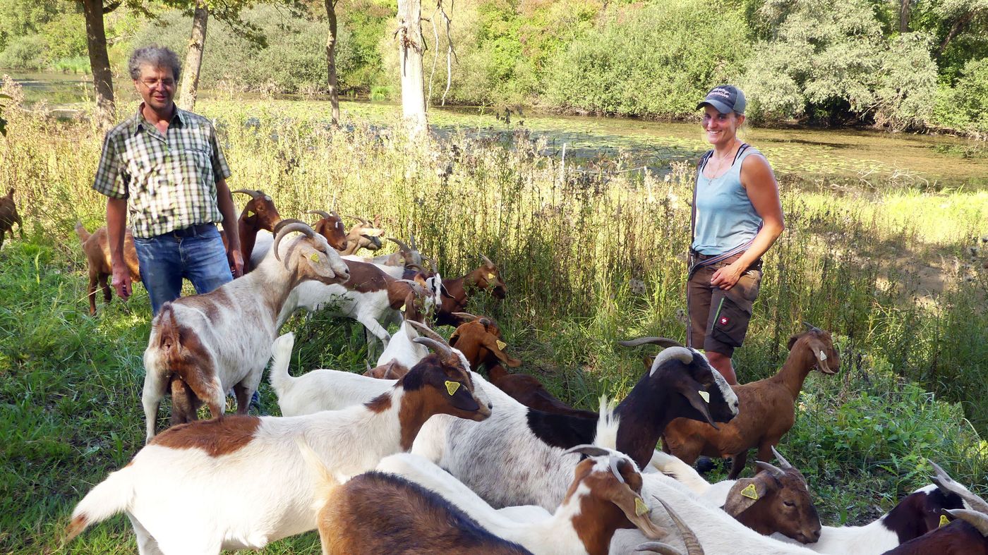 Storchenhof Naturschutz in Dettenheim / Erlebnishof – Bild 3